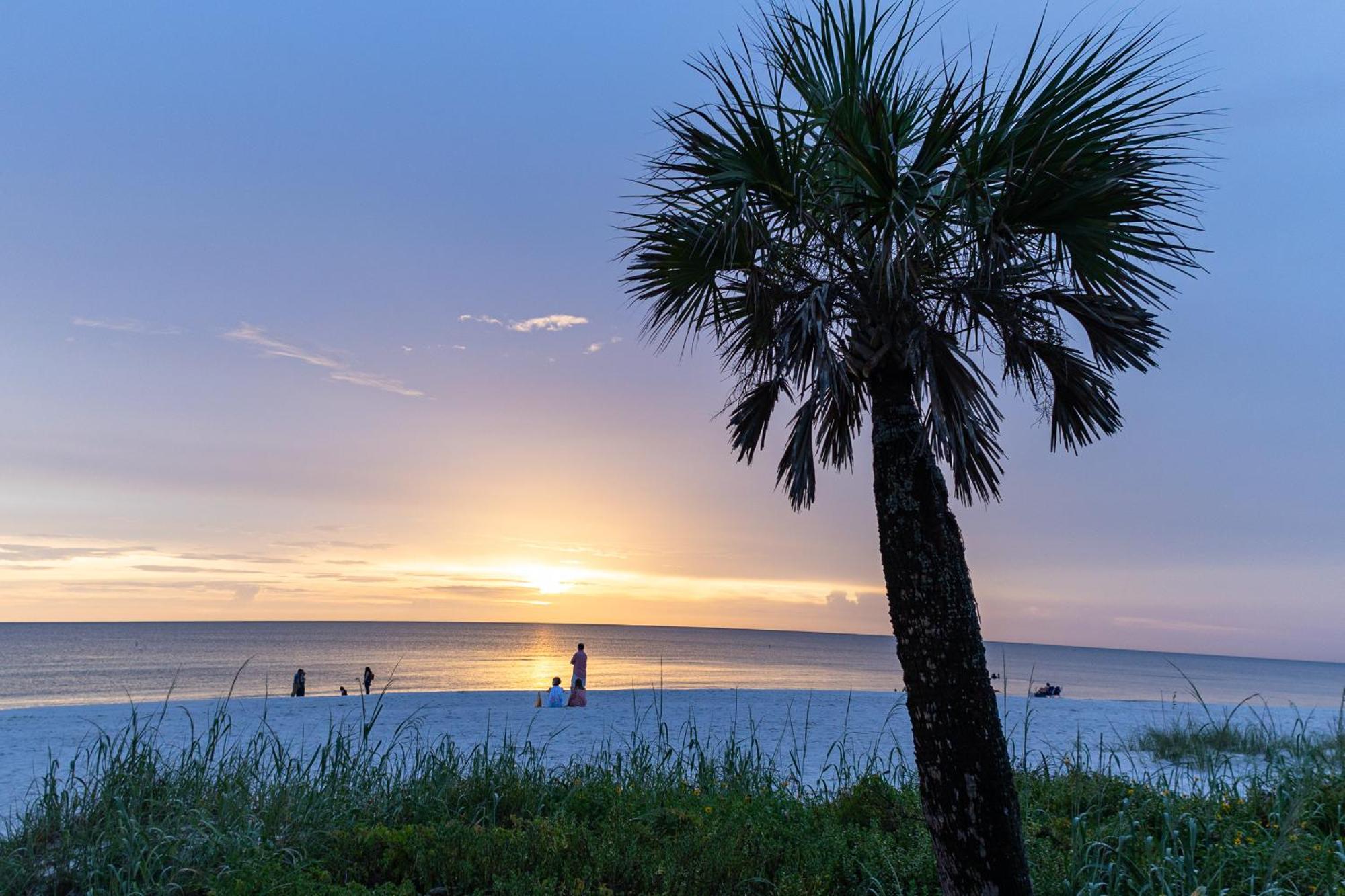 Comfy 3 Bedroom With Parking & Close To Everything North North Naples エクステリア 写真